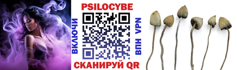цена Заволжье Псилоцибиновые грибы прущие грибы